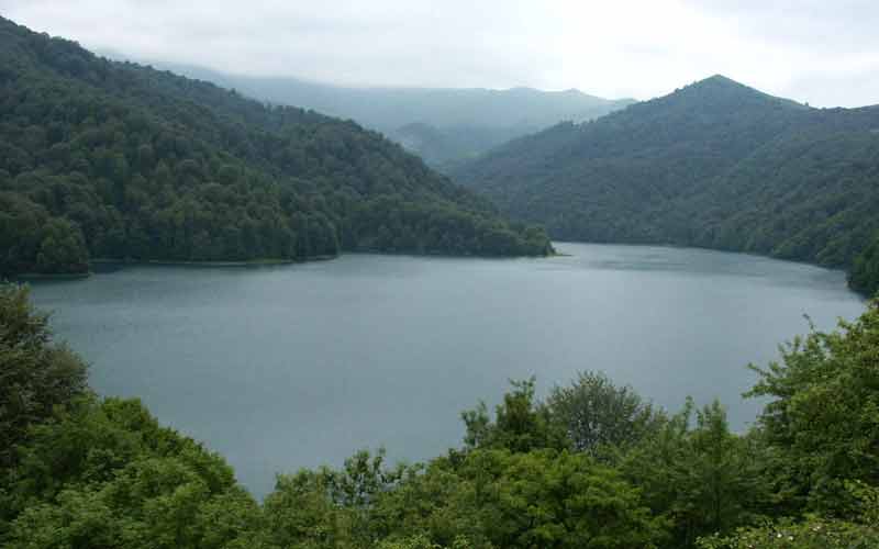 goygol